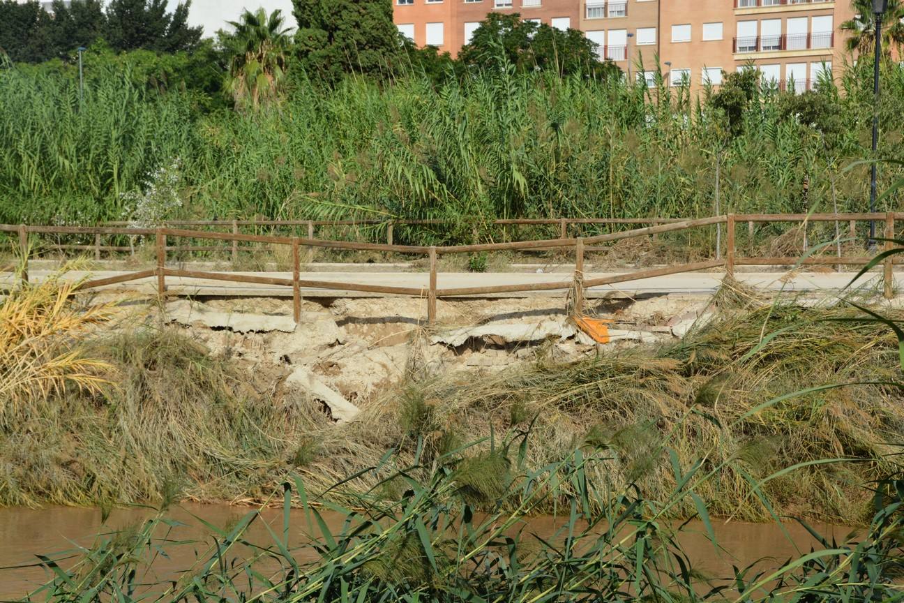 El Ayuntamiento de Cieza ha aprobado solicitar al Consejo de Ministros la declaración de su término Municipal así como del resto de municipios de la Región afectados, como zona afectada gravemente por una emergencia de protección civil.