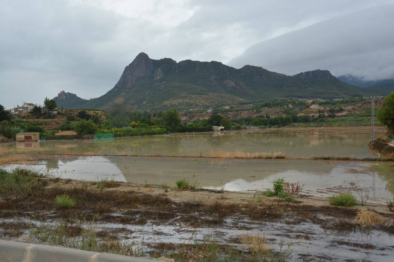 El Ayuntamiento de Cieza ha aprobado solicitar al Consejo de Ministros la declaración de su término Municipal así como del resto de municipios de la Región afectados, como zona afectada gravemente por una emergencia de protección civil.