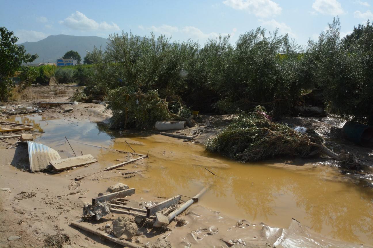 El Ayuntamiento de Cieza ha aprobado solicitar al Consejo de Ministros la declaración de su término Municipal así como del resto de municipios de la Región afectados, como zona afectada gravemente por una emergencia de protección civil.