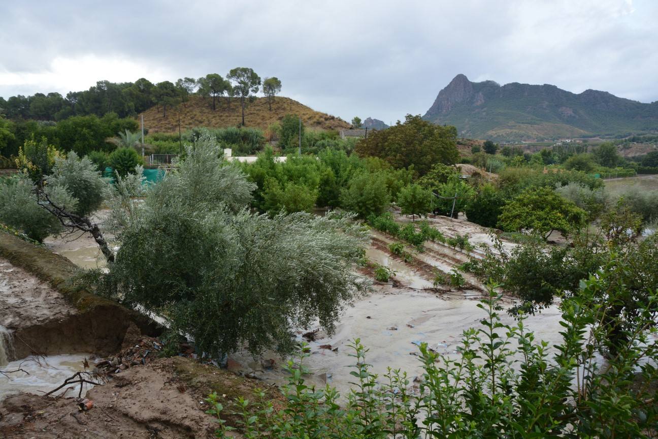 El Ayuntamiento de Cieza ha aprobado solicitar al Consejo de Ministros la declaración de su término Municipal así como del resto de municipios de la Región afectados, como zona afectada gravemente por una emergencia de protección civil.