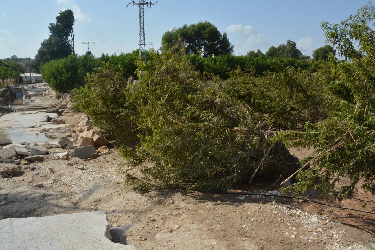 El Ayuntamiento de Cieza ha aprobado solicitar al Consejo de Ministros la declaración de su término Municipal así como del resto de municipios de la Región afectados, como zona afectada gravemente por una emergencia de protección civil.
