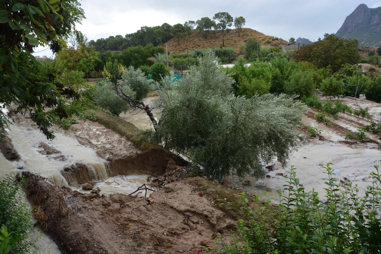 El Ayuntamiento de Cieza ha aprobado solicitar al Consejo de Ministros la declaración de su término Municipal así como del resto de municipios de la Región afectados, como zona afectada gravemente por una emergencia de protección civil.