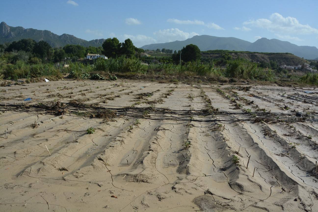 El Ayuntamiento de Cieza ha aprobado solicitar al Consejo de Ministros la declaración de su término Municipal así como del resto de municipios de la Región afectados, como zona afectada gravemente por una emergencia de protección civil.