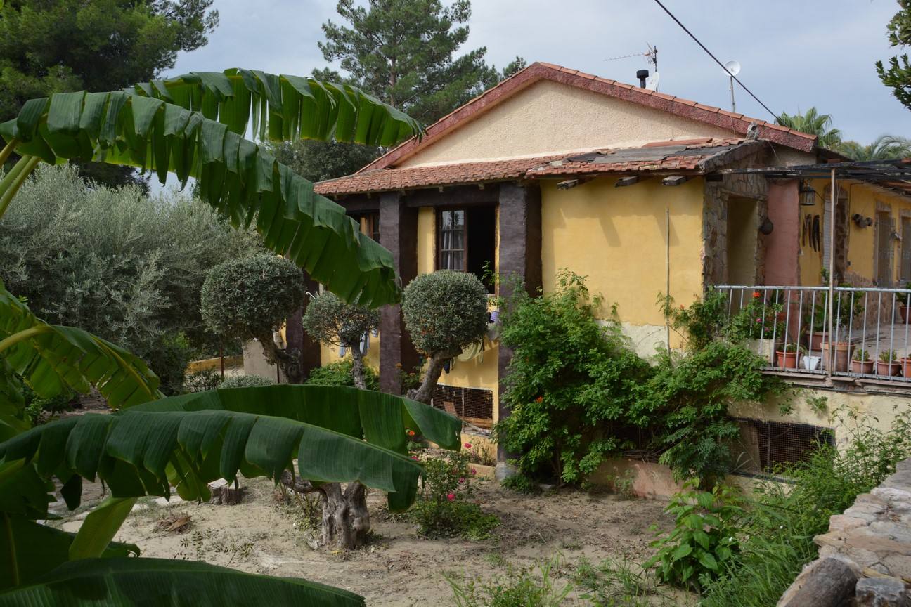 El Ayuntamiento de Cieza ha aprobado solicitar al Consejo de Ministros la declaración de su término Municipal así como del resto de municipios de la Región afectados, como zona afectada gravemente por una emergencia de protección civil.