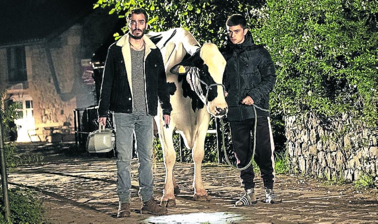 Sánchez Arévalo regresa con una road movie canina