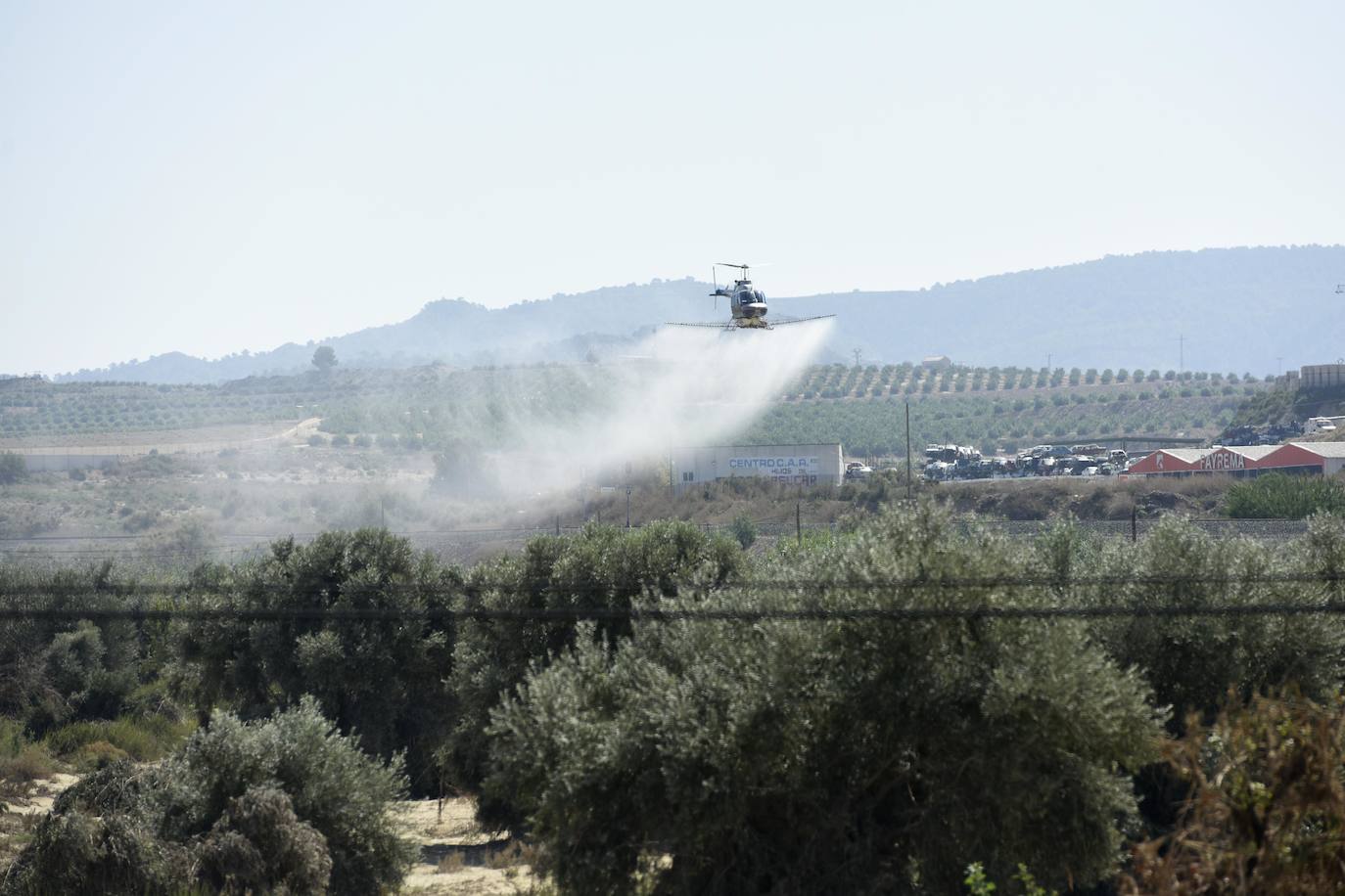 Según José Ballesta, «El Raal, Alquerías y Zeneta, así como el entorno del Segura y el Reguerón, están siendo las principales zonas de actuación»