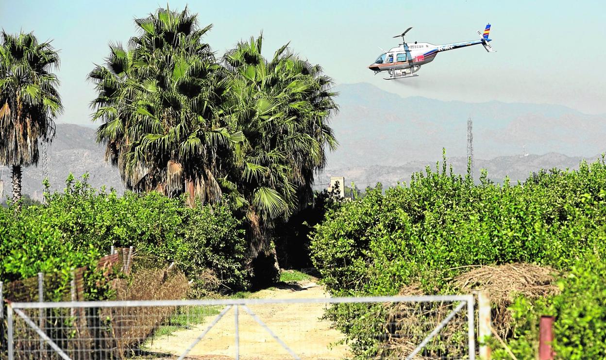 El helicóptero, ayer, hace una pasada por una zona de huerta de la pedanía de Los Ramos. 