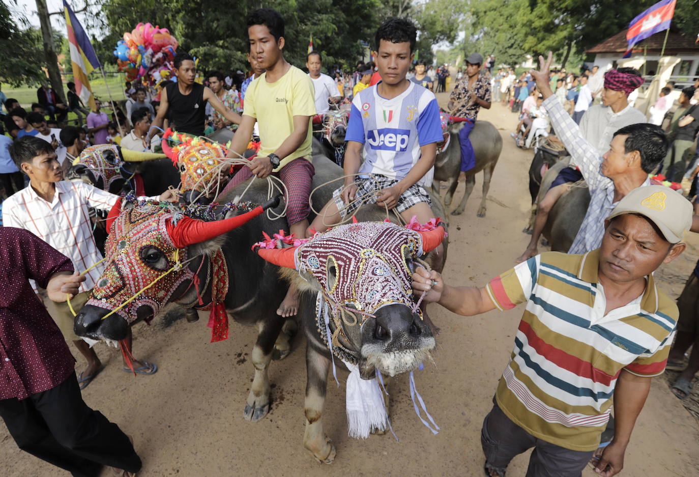 Varias personas participan en peleas y en carreras de búfalos y caballos organizadas con motivo de la culminación de la festividad de «Pchum Ben» o día de los ancestros, en la población de Sithor, Camboya.