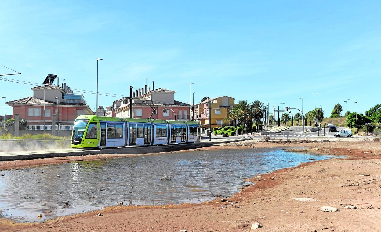 Charco de agua acumulada desde el episodio de gota fría en la entrada de Guadalupe, en Murcia, ayer. Las aguas estancadas tras la DANA favorecen la proliferación de mosquitos. 