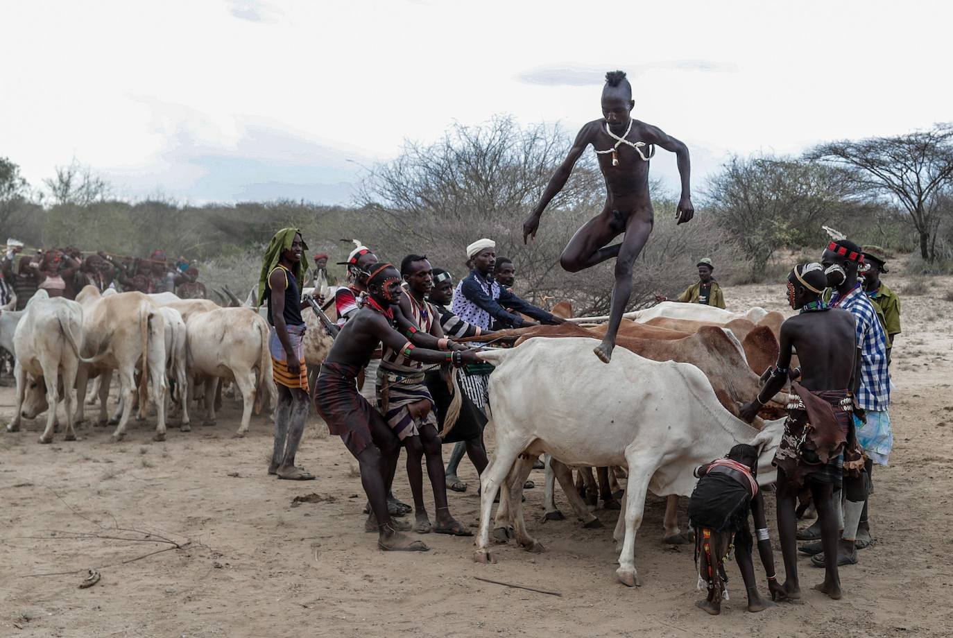 Los miembros de la tribu Hammer se preparan para la celebración de la ceremonia del 'salto del toro', un ritual que marca el paso a la edad adulta, en el pueblo de Turmi, al sur de Etiopía y cerca de la frontera con Kenia. En la ceremonia, el pequeño debe saltar por encima de siete toros para convertirse en un adulto.