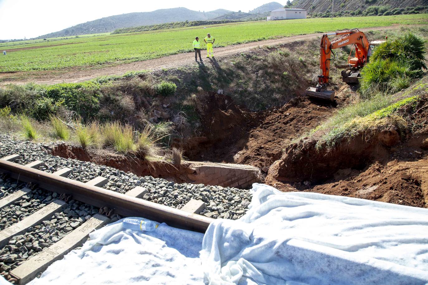 Adif repara los daños causados por la lluvia hace un mes en este trazado y entre Murcia y Cartagena, por donde tampoco circulan trenes