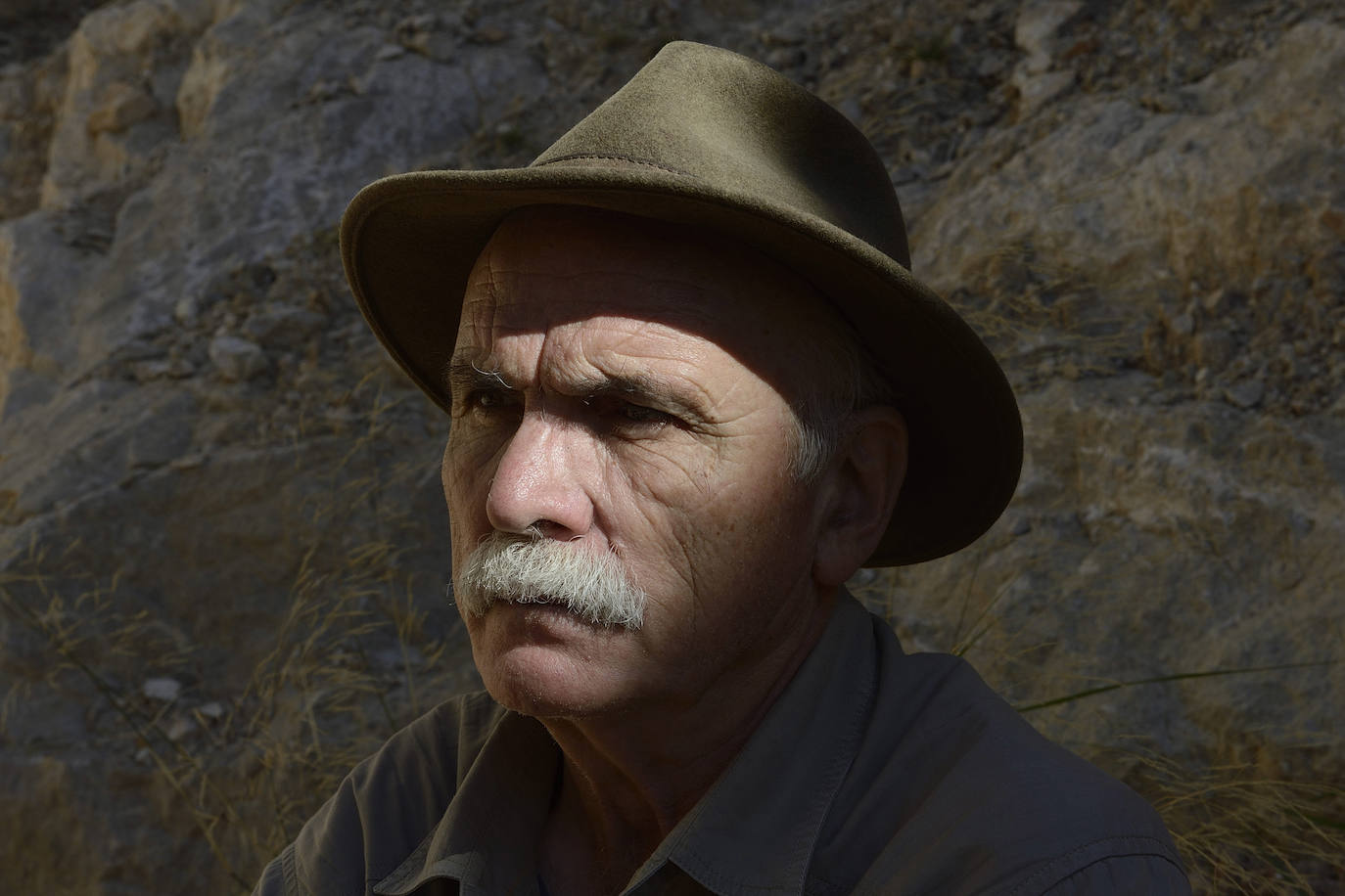 El yacimiento paleontológico de Abanilla suma esta campaña un centenar de nuevos registros de grandes mamíferos, y otros tantos de roedores, anfibios, aves y reptiles de hace un millón de años