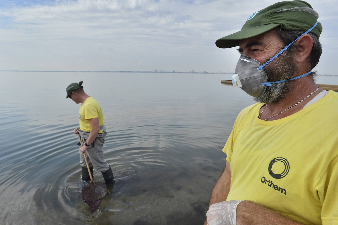 Siguen retirando peces muertos en San Pedro