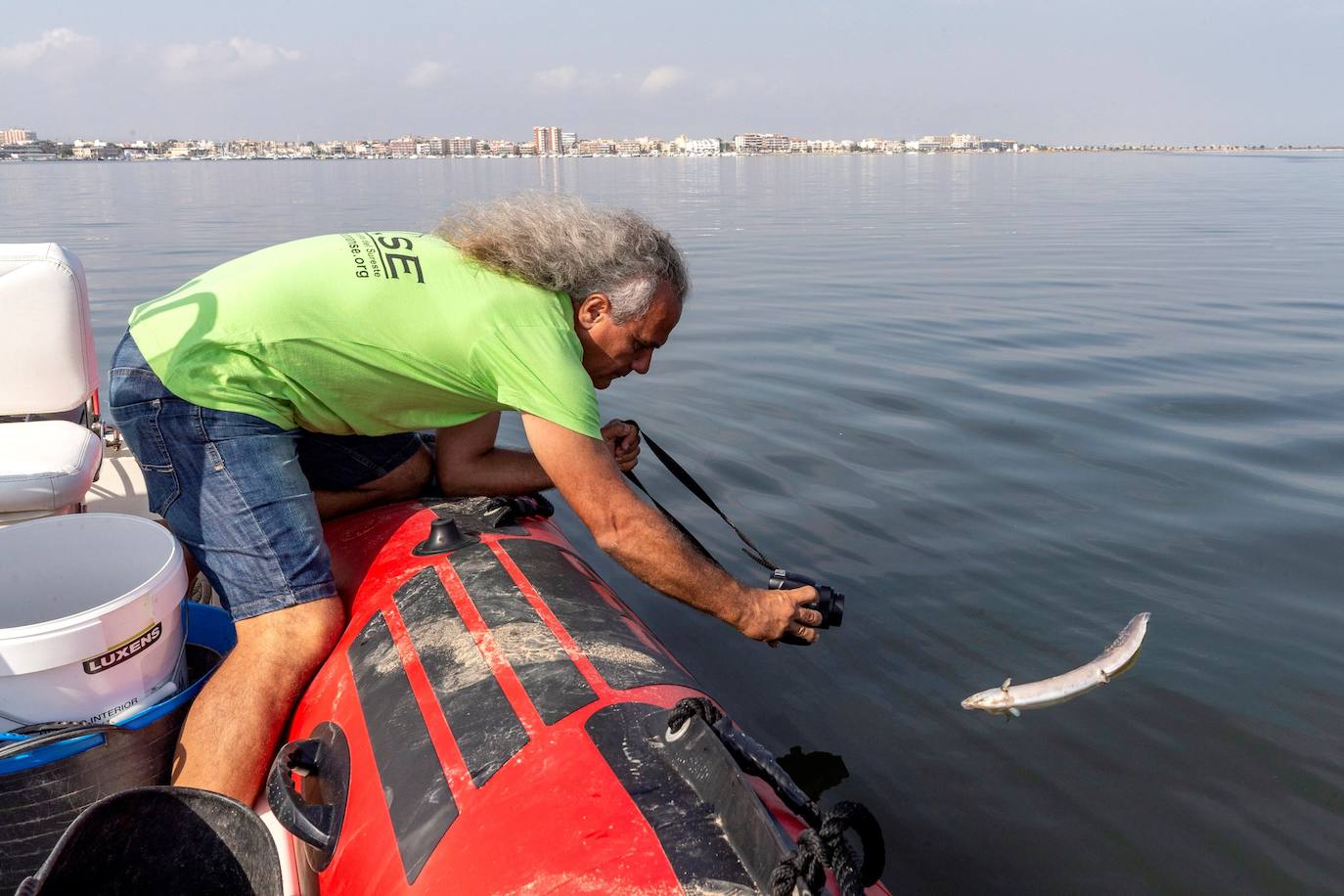 Siguen retirando peces muertos en San Pedro