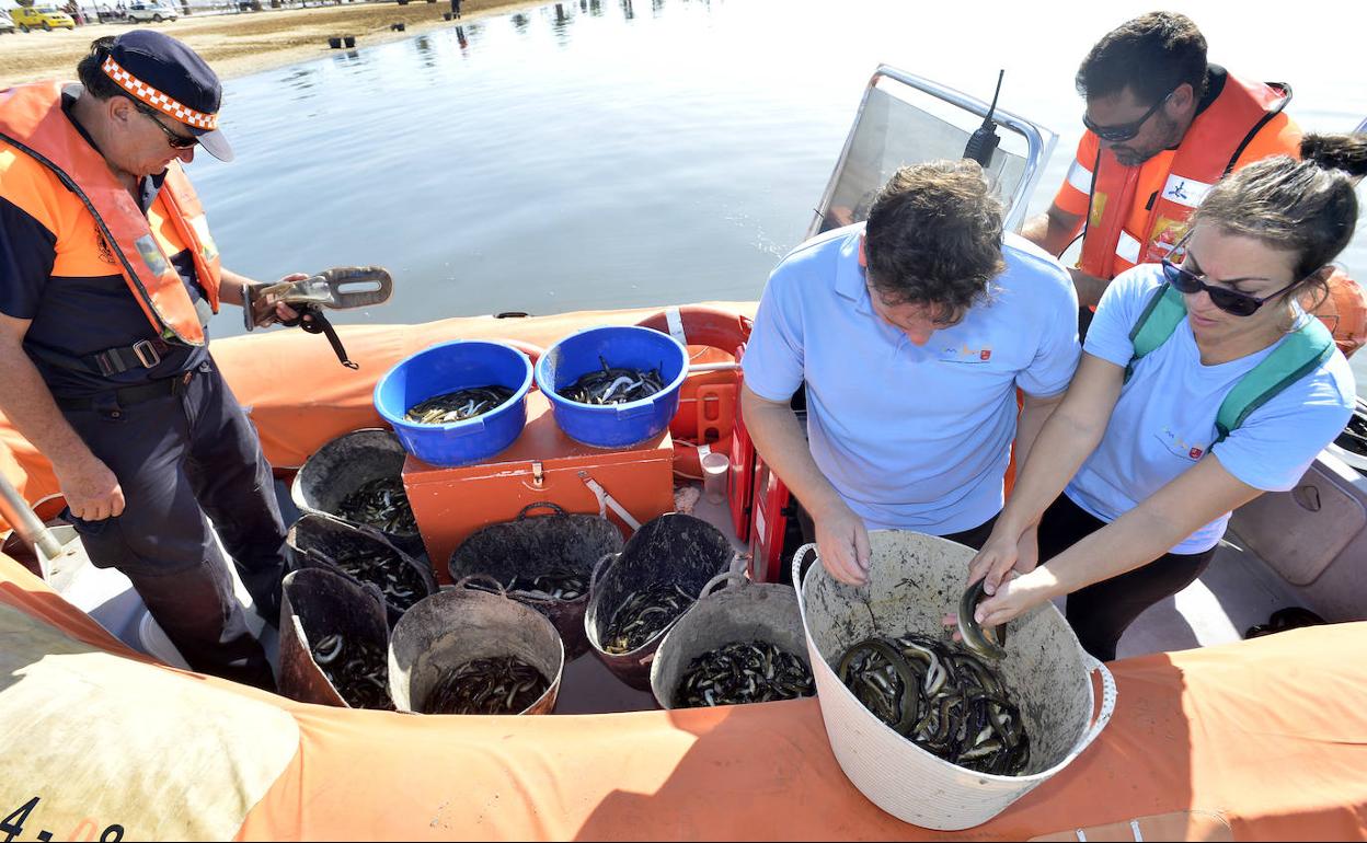 Los pescadores se niegan a colaborar con la Comunidad porque «llevan 30 años sin oírnos»