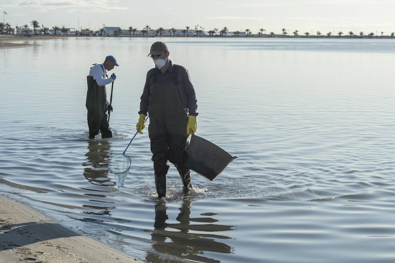El portavoz del PP en la Asamblea Regional, Joaquín Segado, que consideró «injusto» responsabilizar al Gobierno regional de esta situación ya que son muchas las instituciones, dijo, que no han cumplido «estrictamente con su obligación»