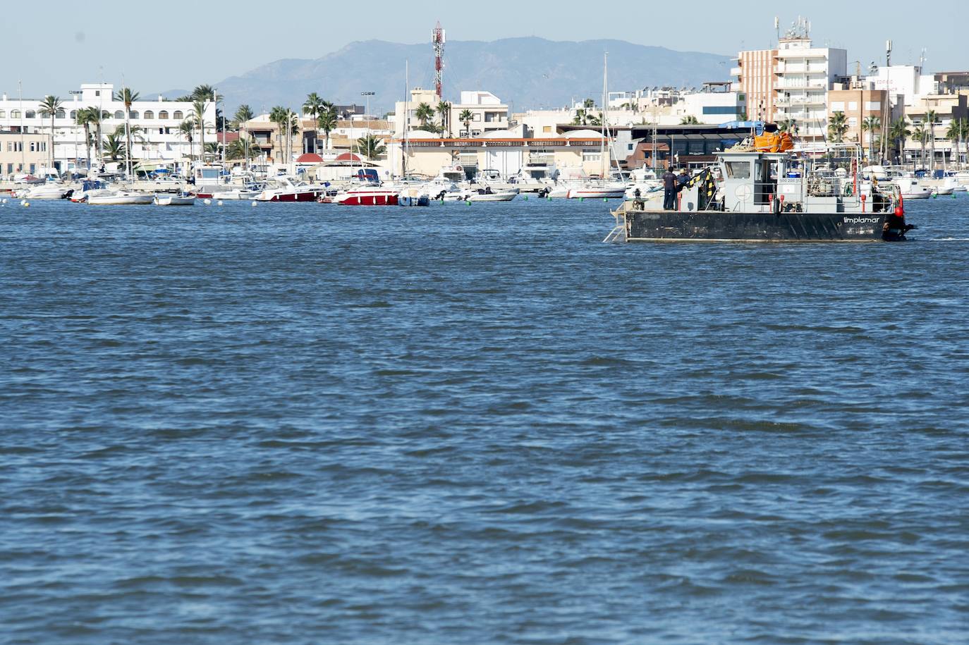 El portavoz del PP en la Asamblea Regional, Joaquín Segado, que consideró «injusto» responsabilizar al Gobierno regional de esta situación ya que son muchas las instituciones, dijo, que no han cumplido «estrictamente con su obligación»