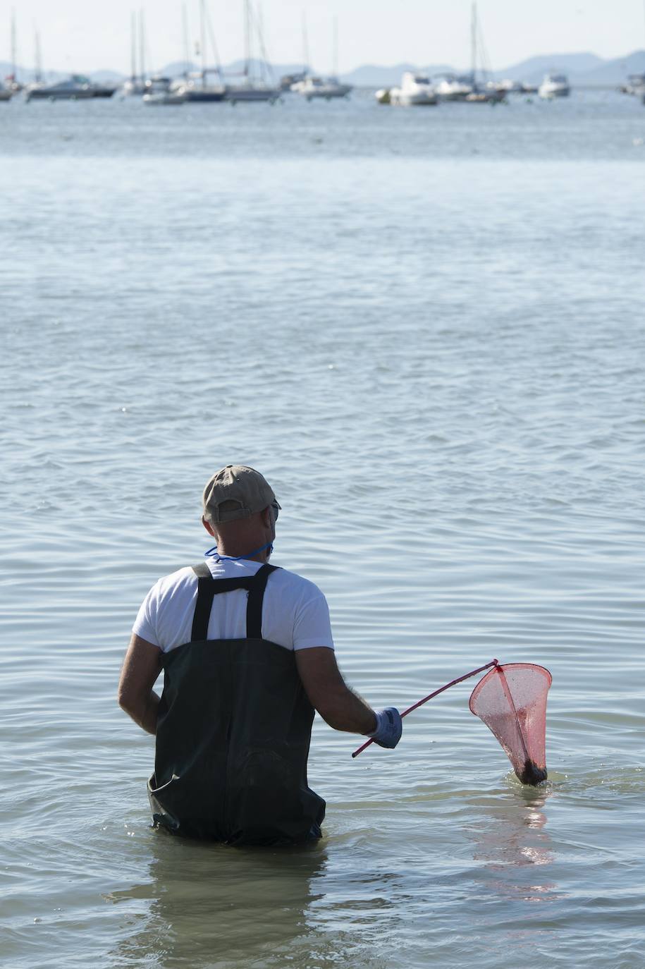El portavoz del PP en la Asamblea Regional, Joaquín Segado, que consideró «injusto» responsabilizar al Gobierno regional de esta situación ya que son muchas las instituciones, dijo, que no han cumplido «estrictamente con su obligación»