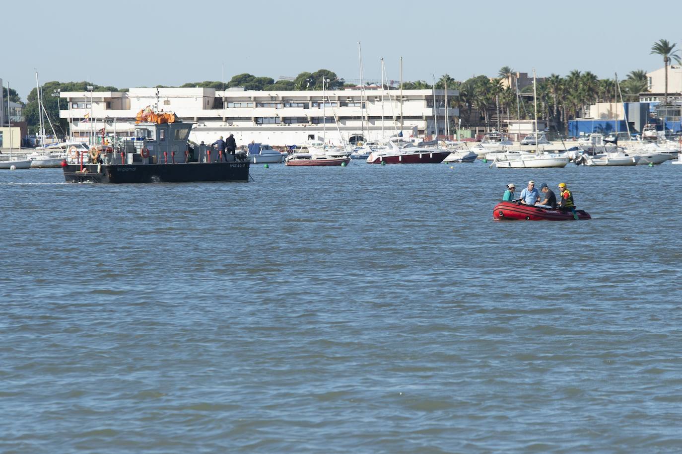 El portavoz del PP en la Asamblea Regional, Joaquín Segado, que consideró «injusto» responsabilizar al Gobierno regional de esta situación ya que son muchas las instituciones, dijo, que no han cumplido «estrictamente con su obligación»