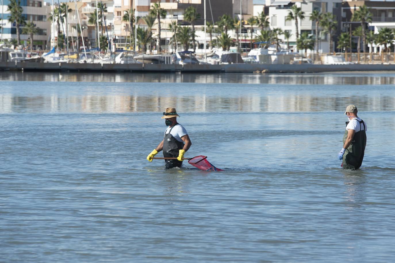 El portavoz del PP en la Asamblea Regional, Joaquín Segado, que consideró «injusto» responsabilizar al Gobierno regional de esta situación ya que son muchas las instituciones, dijo, que no han cumplido «estrictamente con su obligación»
