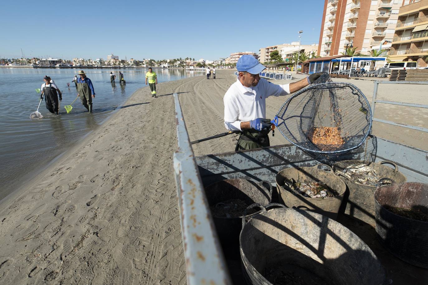 El portavoz del PP en la Asamblea Regional, Joaquín Segado, que consideró «injusto» responsabilizar al Gobierno regional de esta situación ya que son muchas las instituciones, dijo, que no han cumplido «estrictamente con su obligación»