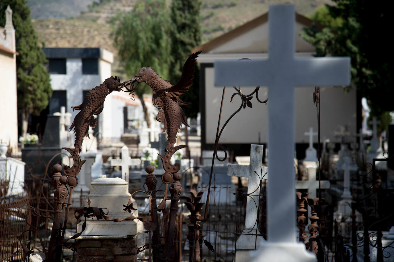 Una ruta guiada por el cementerio de Mazarrón recuerda los años dorados de su pasado industrial, con sus gestas y sus tragedias.