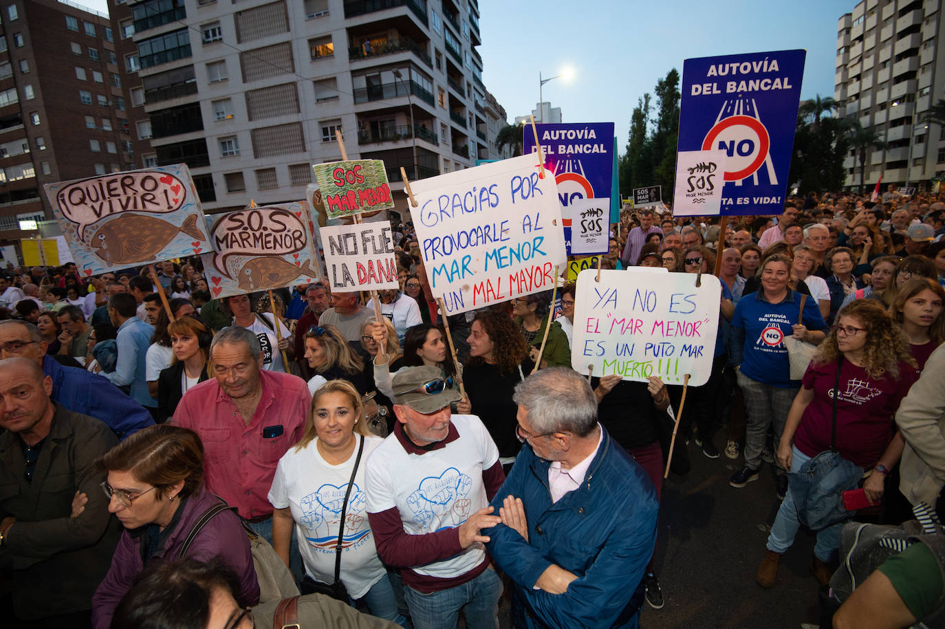 Los manifestantes que este miércoles pidieron medidas para salvar al Mar Menor derrocharon ingenio y creativiad en sus carteles y pancartas.