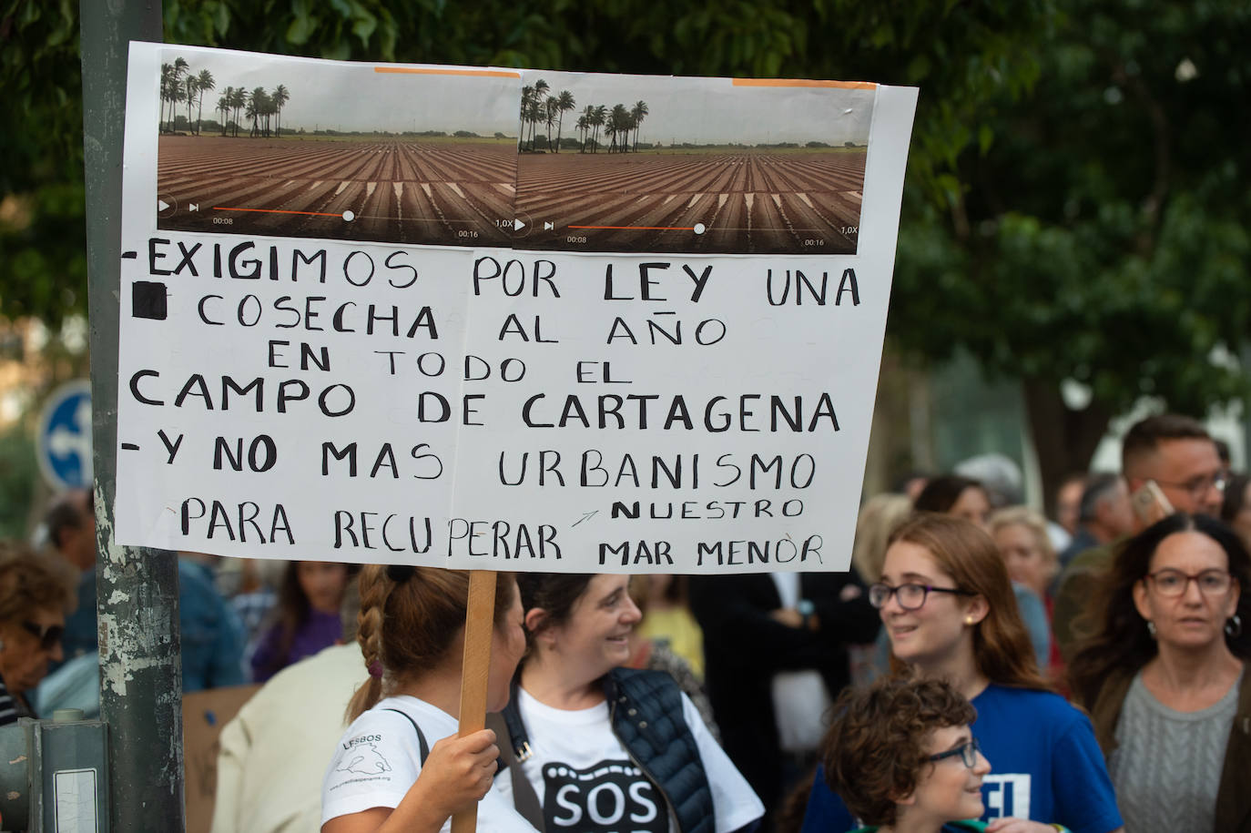 Los manifestantes que este miércoles pidieron medidas para salvar al Mar Menor derrocharon ingenio y creativiad en sus carteles y pancartas.