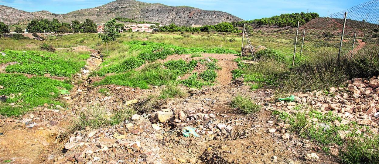 Área próxima a la balsa Jenny en la que se ha detectado la presencia de lixiviados ácidos. 