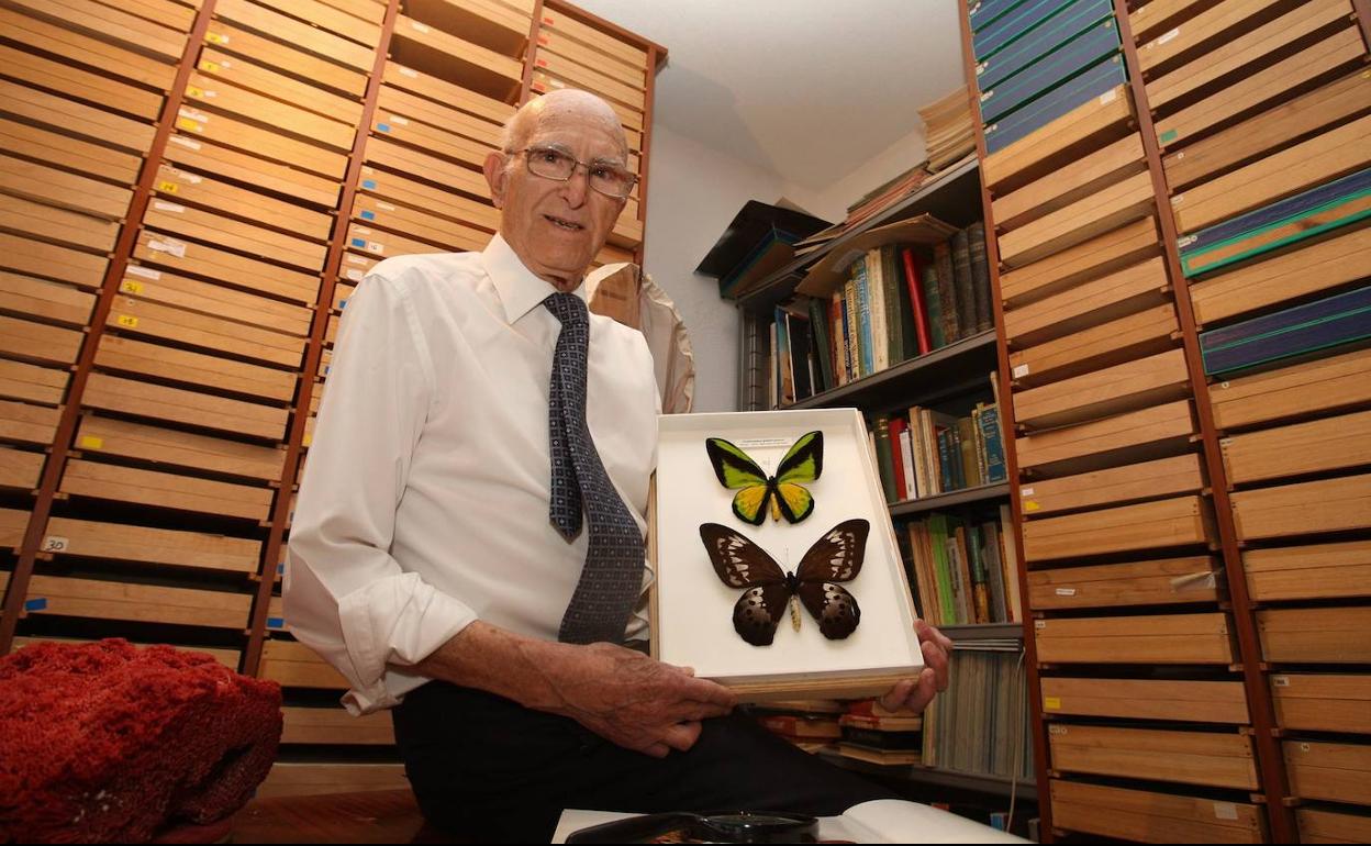 Francisco González López, fotografiado en su domicilio con su colección de insectos, dedicada especialmente a las mariposas.