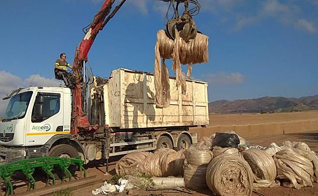 Retirada de plástico agrícola tras la cosecha. 