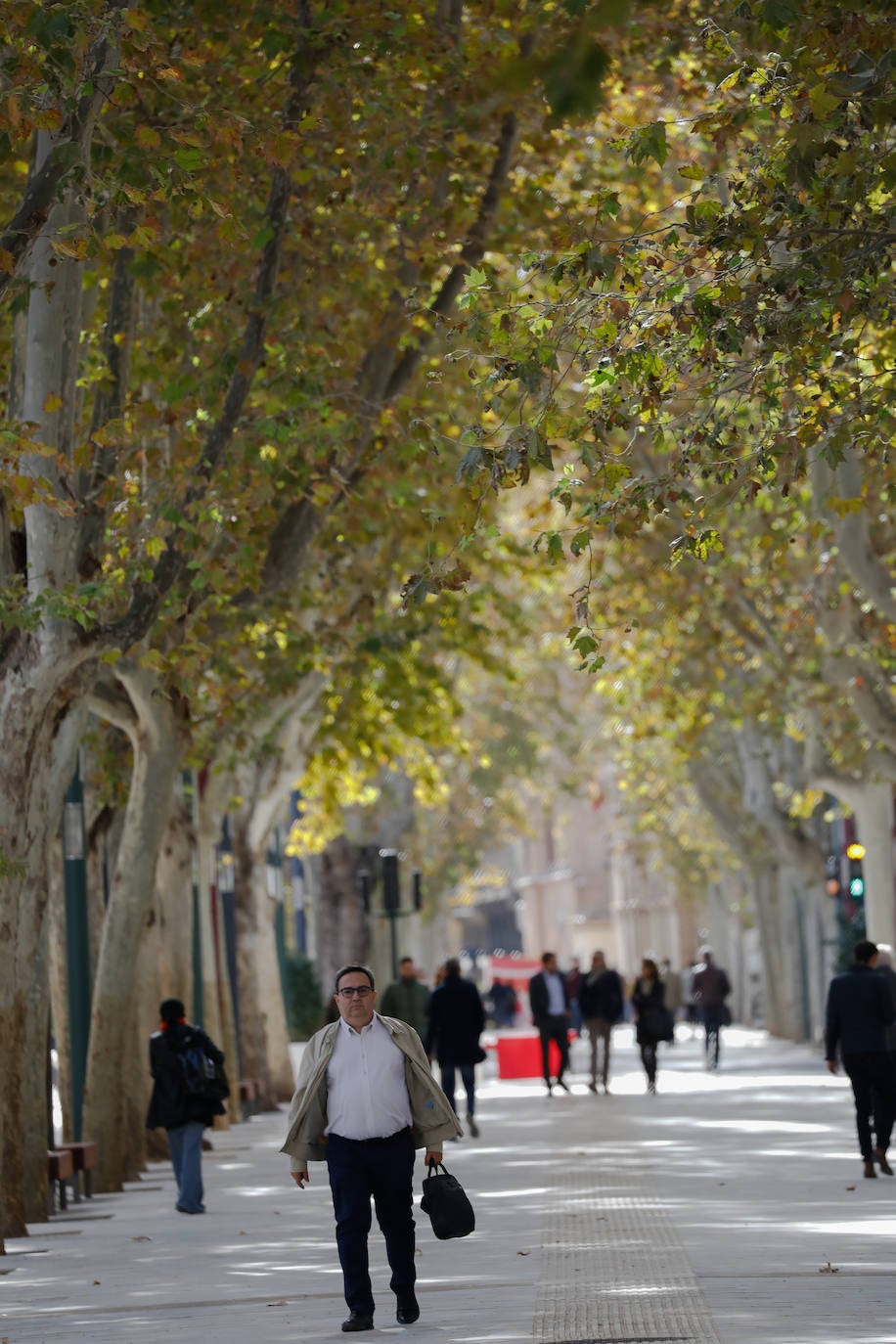 La inauguración del paseo será mañana con un espectáculo que ofrecerán artistas murcianos. 