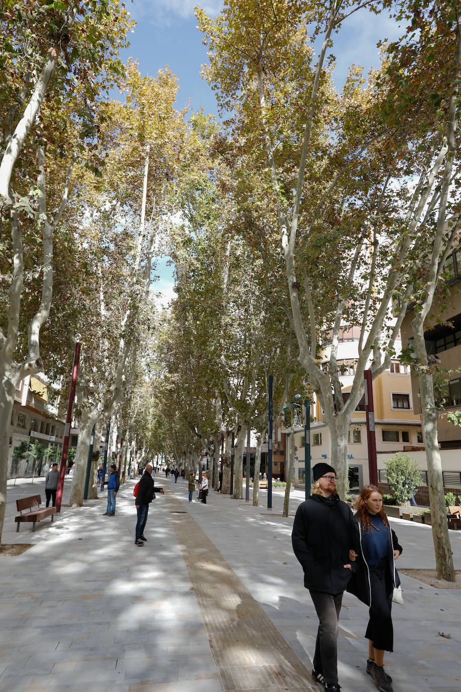 La inauguración del paseo será mañana con un espectáculo que ofrecerán artistas murcianos. 