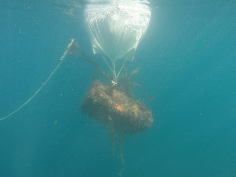 La asociación Submon retira 1.500 kilos de residuos en la Reserva Marina de Cabo Tiñoso, gracias al proyecto Libera