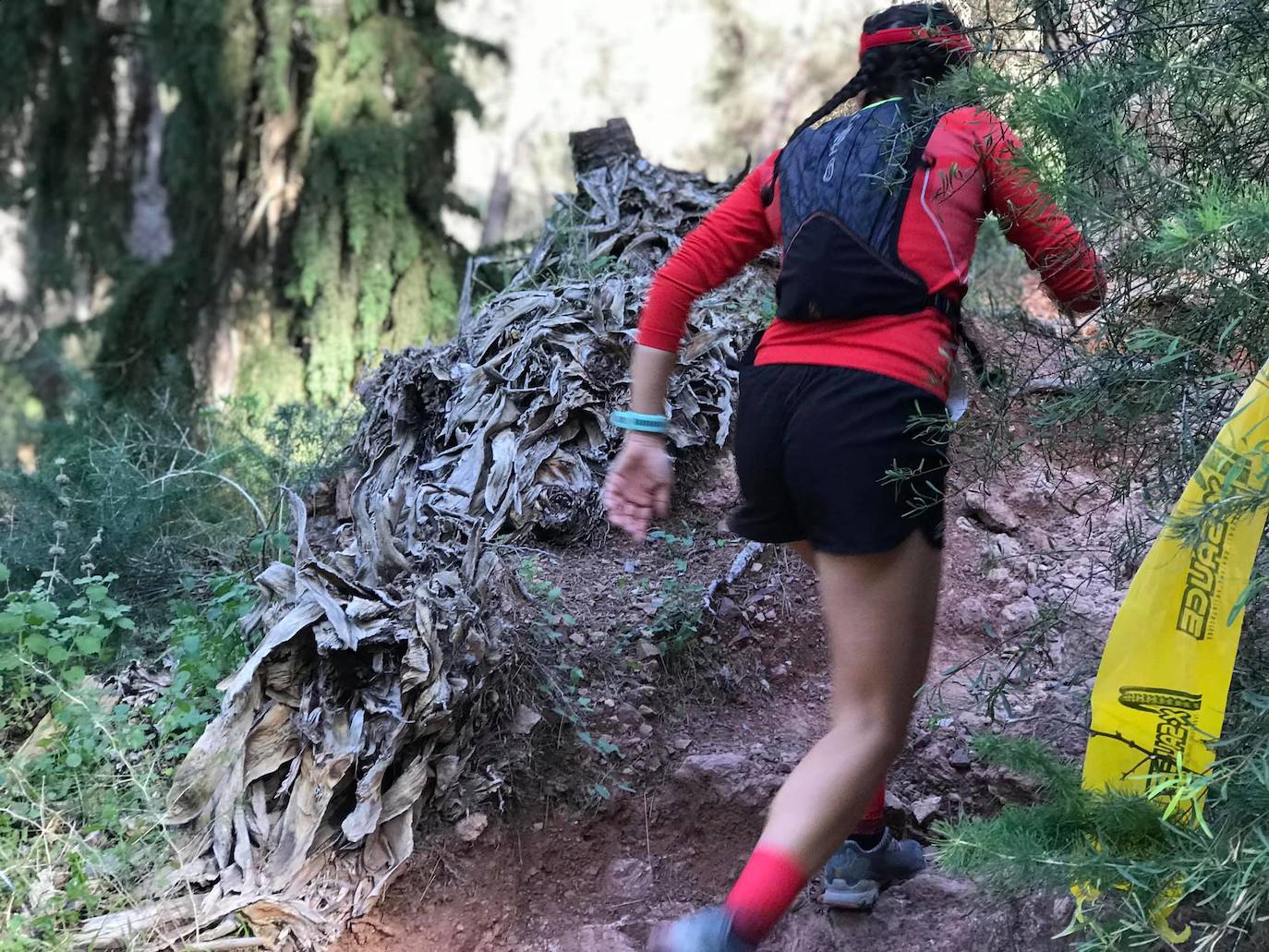 El ganador masculino se lleva la prueba con un tiempo de 2:07:39 en los 24 kilómetros, por los 2:26:35 para la triunfadora femenina