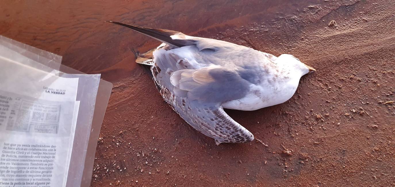 Estudia si la Comunidad ha incurrido en delitos contra el medio ambiente y de prevaricación en la parcela, que sigue sin un plan de descontaminación.