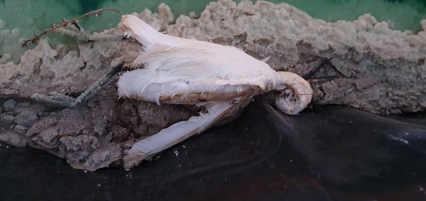 Estudia si la Comunidad ha incurrido en delitos contra el medio ambiente y de prevaricación en la parcela, que sigue sin un plan de descontaminación.