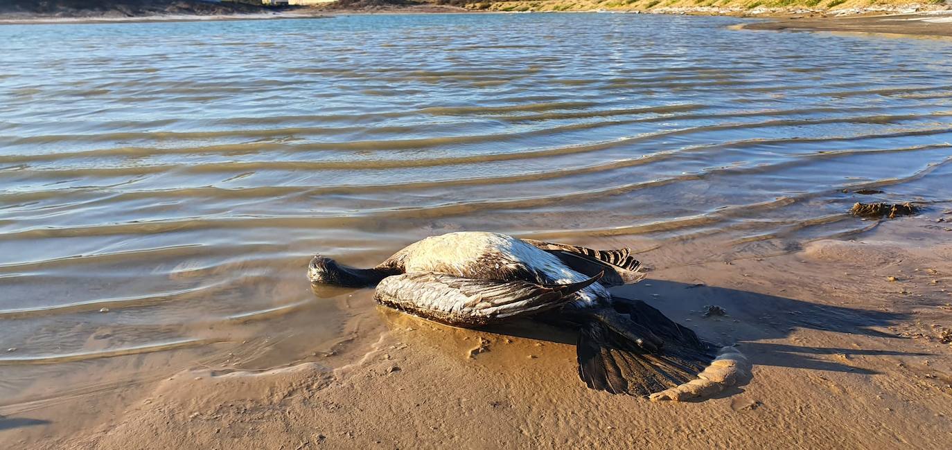 Estudia si la Comunidad ha incurrido en delitos contra el medio ambiente y de prevaricación en la parcela, que sigue sin un plan de descontaminación.