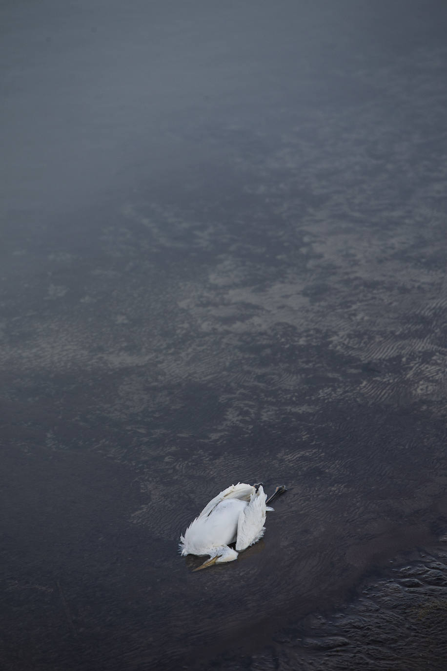 Estudia si la Comunidad ha incurrido en delitos contra el medio ambiente y de prevaricación en la parcela, que sigue sin un plan de descontaminación.