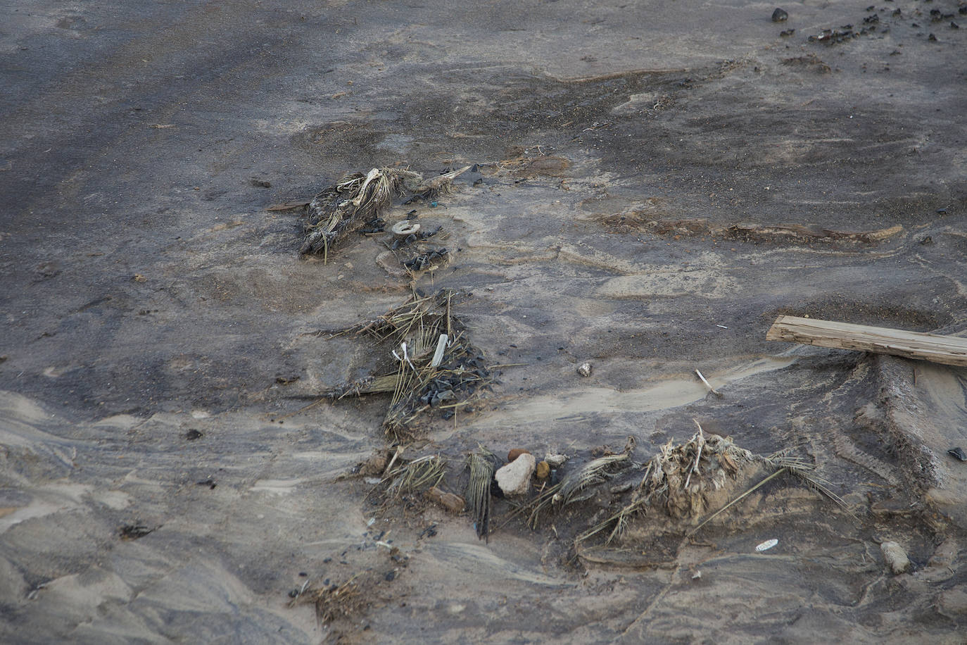 Estudia si la Comunidad ha incurrido en delitos contra el medio ambiente y de prevaricación en la parcela, que sigue sin un plan de descontaminación.