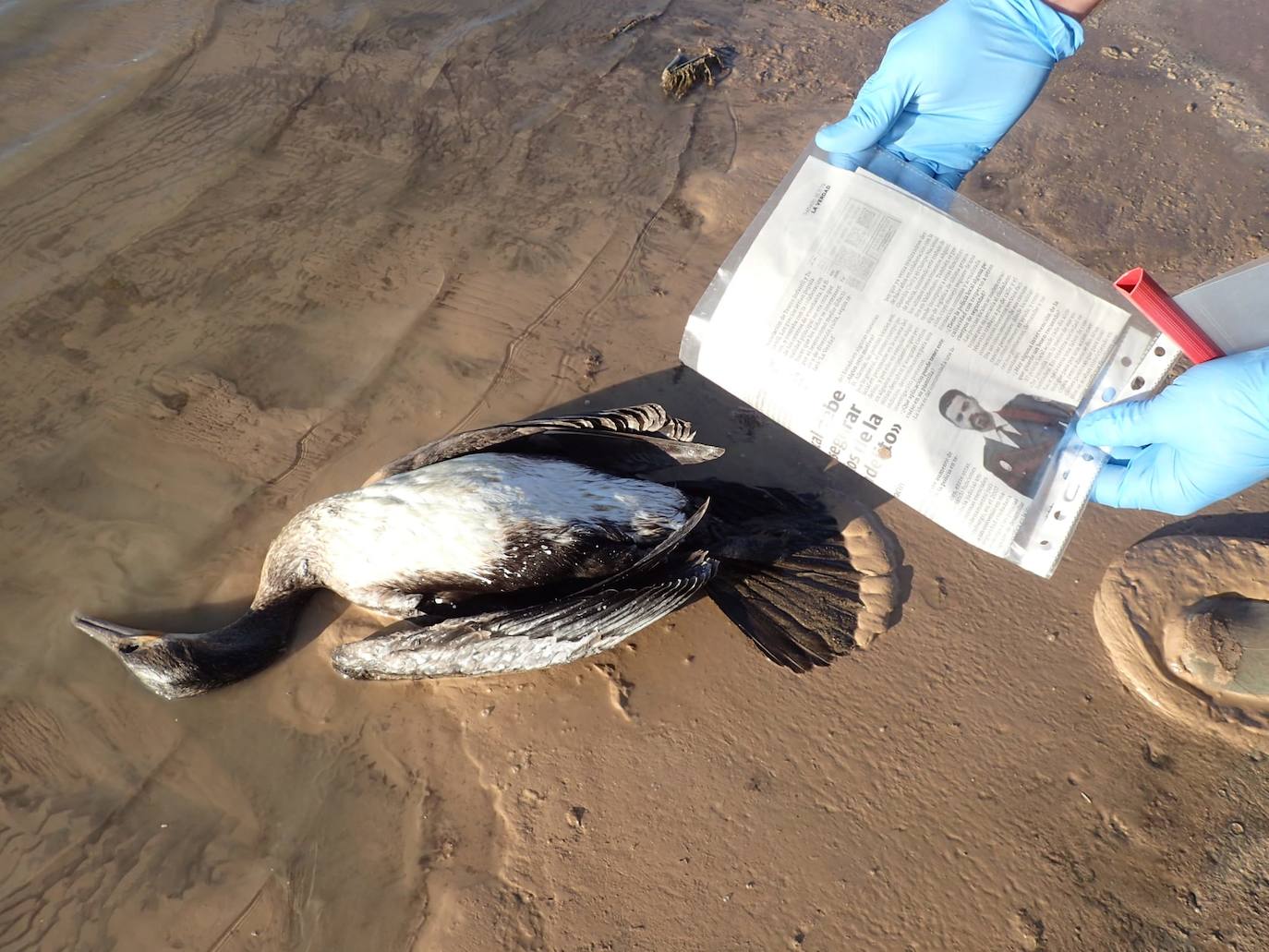 Estudia si la Comunidad ha incurrido en delitos contra el medio ambiente y de prevaricación en la parcela, que sigue sin un plan de descontaminación.