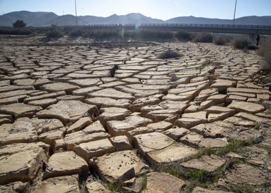 Imagen secundaria 1 - Arriba, el humedal de Lo Poyo, al que llegan residuos mineros. Abajo, los antiguos suelos de Potasas, con restos de arsénico, mercurio y residuos radiológicos; y la balsa Jenny, en Llano del Beal, con lixiviados de plomo, zinc y cadmio. 