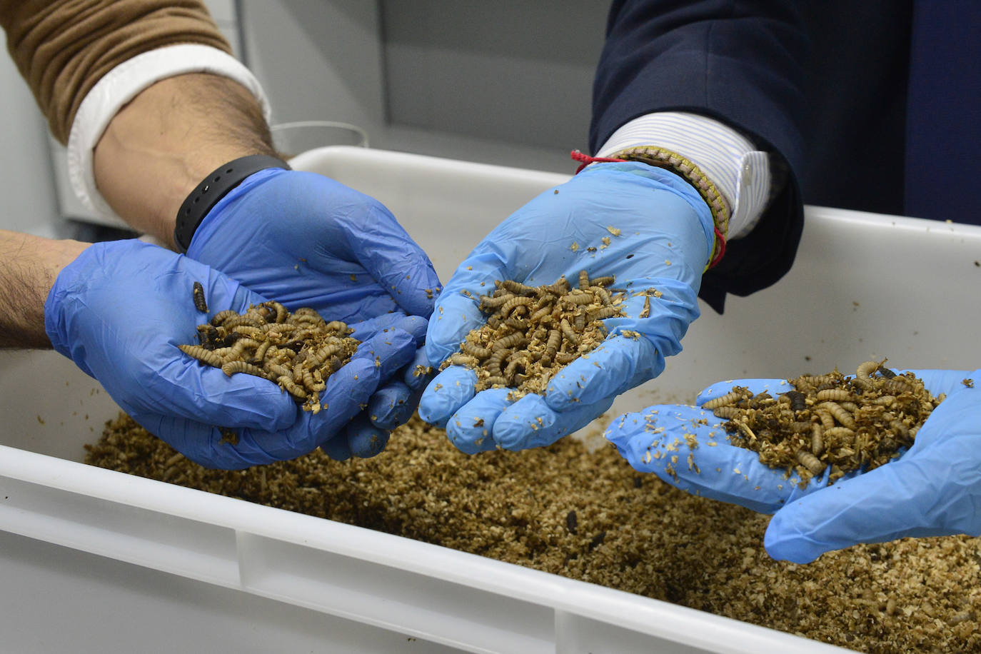 Las instalaciones, que cuentan con el avalde la Comisión Europea, aspiran a liderar la ecología industrial.