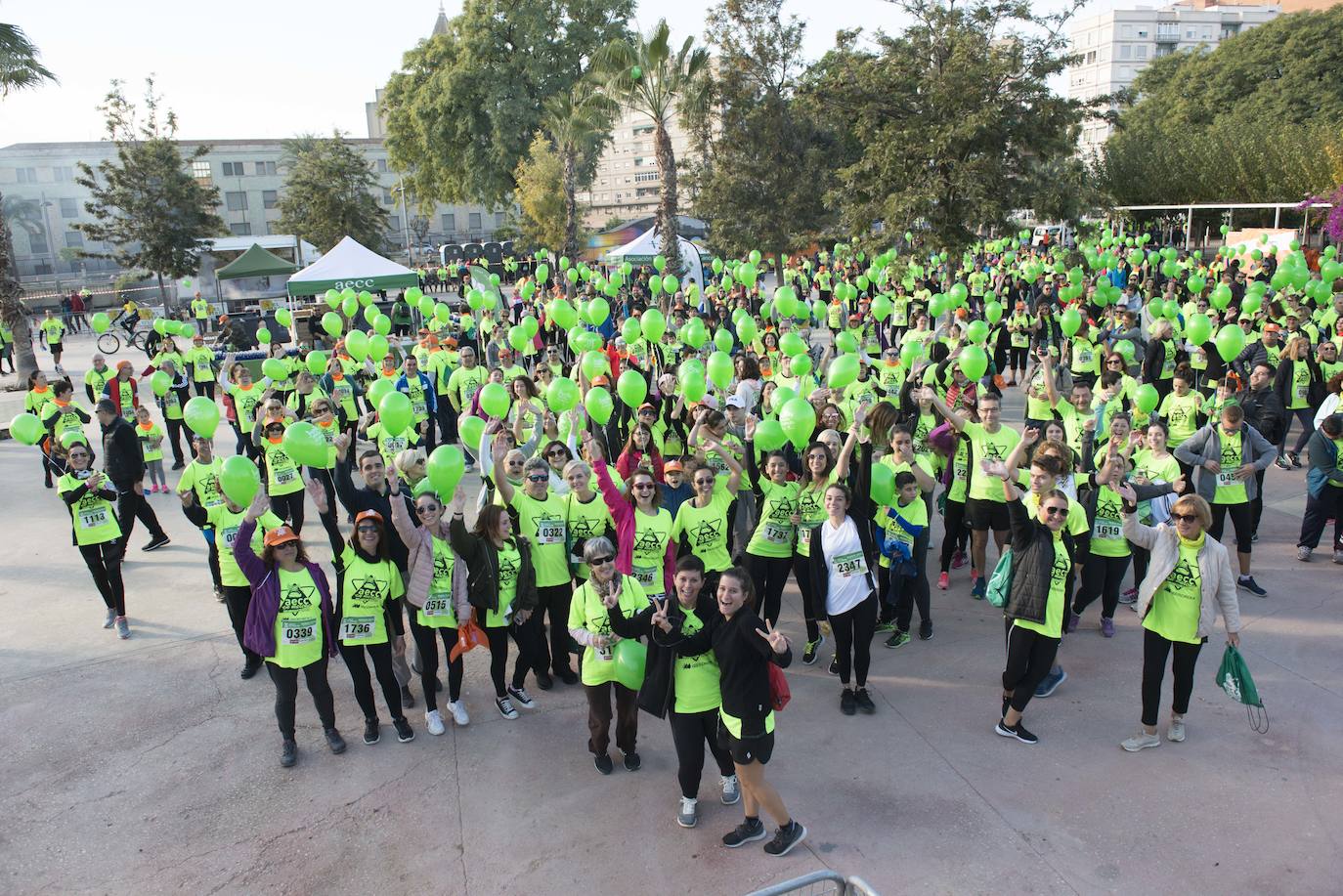 Fotos: El verde esperanza inunda Murcia