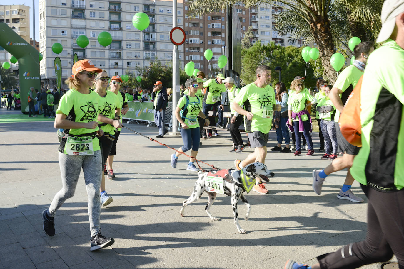 Fotos: El verde esperanza inunda Murcia