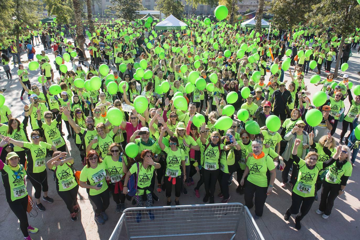 Fotos: El verde esperanza inunda Murcia