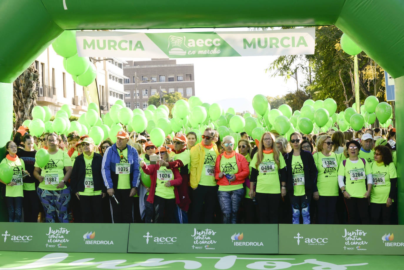 Fotos: El verde esperanza inunda Murcia