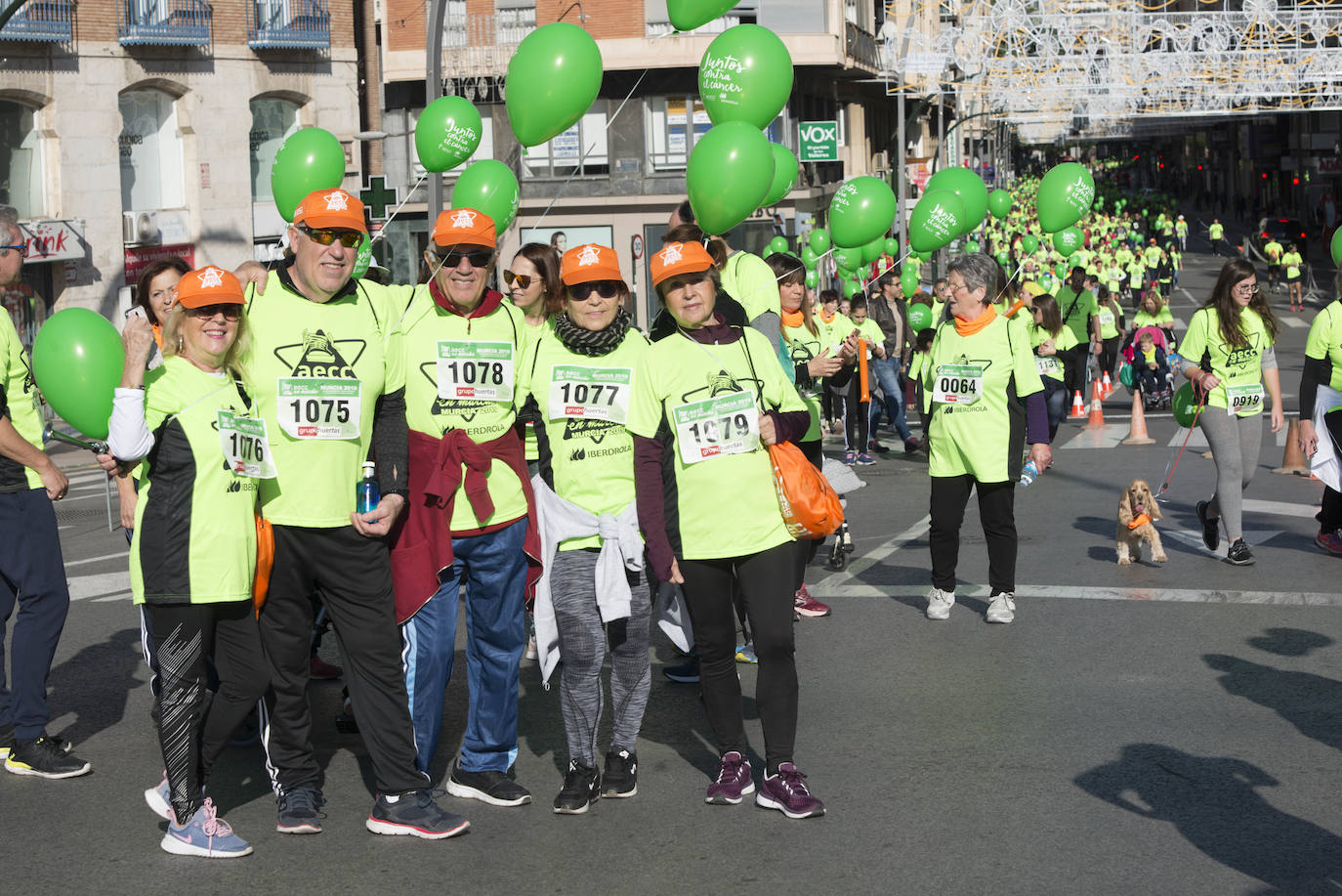 Fotos: El verde esperanza inunda Murcia