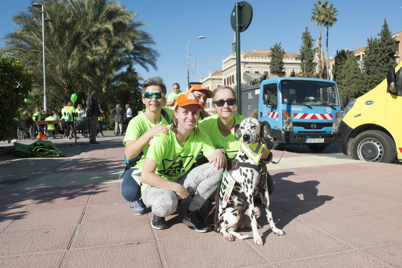 Fotos: El verde esperanza inunda Murcia