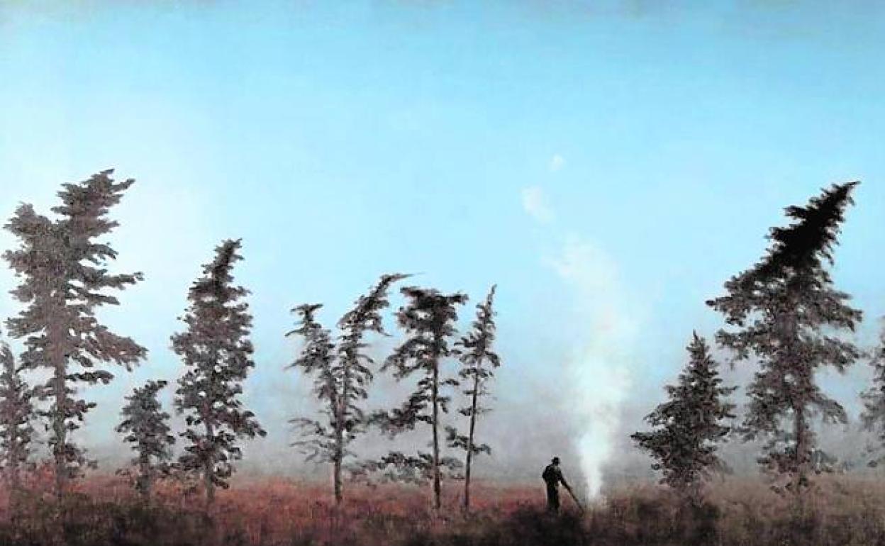 La belleza de las cosas